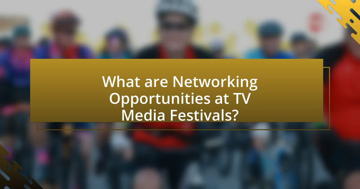 What are Networking Opportunities at TV Media Festivals?