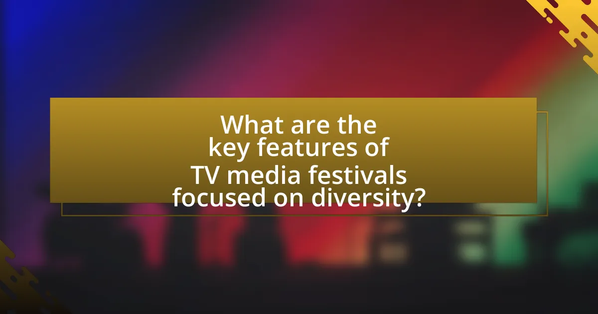 What are the key features of TV media festivals focused on diversity?