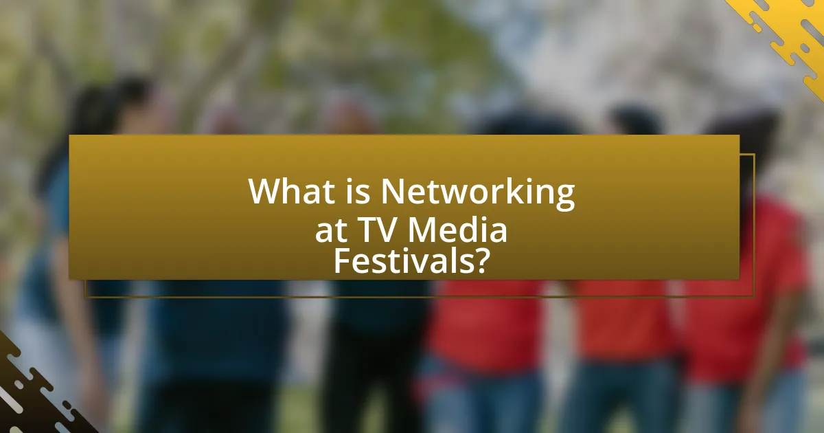 What is Networking at TV Media Festivals?