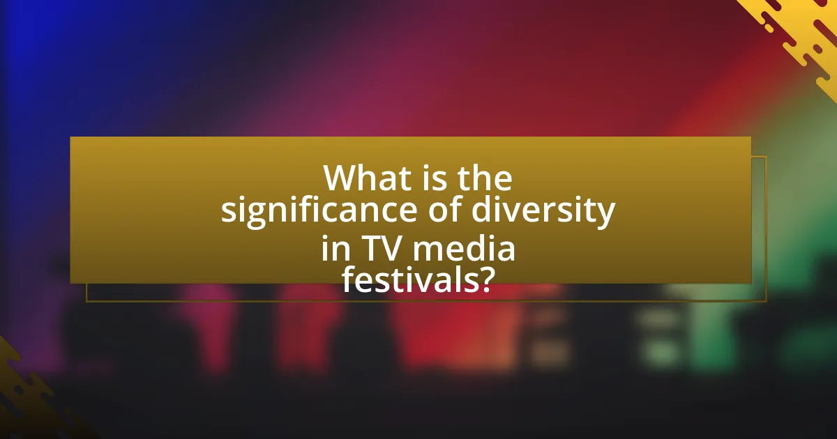 What is the significance of diversity in TV media festivals?